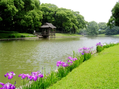 webwxgetmsgimg (2)_副本.jpg