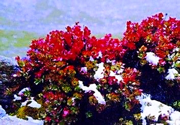 1523931235416977.jpg 0417_2.jpg