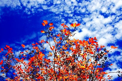 1523931327474253.jpg 0417_6_副本.jpg