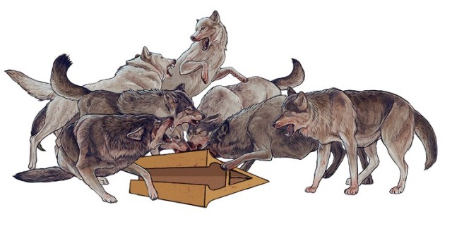 1524054918745052.jpg 人兽.jpg