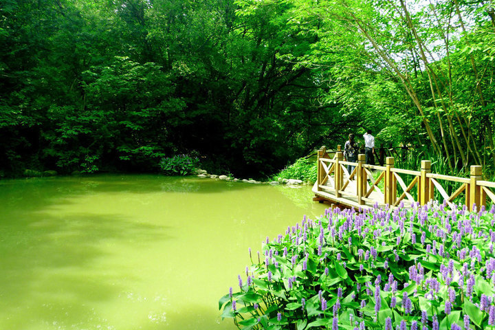 1525182347308537.jpg 2.jpg