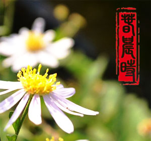 1526602517121254.jpeg 1526551983144543 (1).jpeg