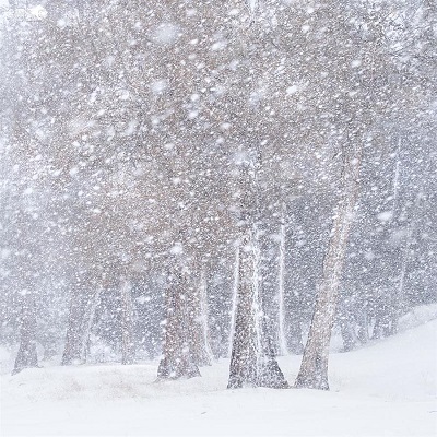 1527598377790838.jpg 大雪01.jpg