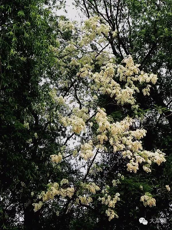 1532383920828792.jpg 1532383920828792.jpg