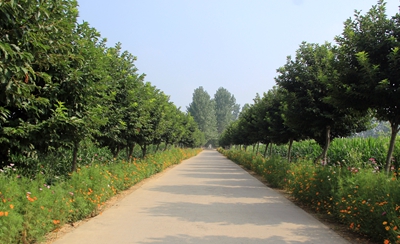 照片 1067_副本.jpg