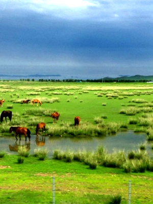 webwxgetmsgimg (3)_副本.jpg