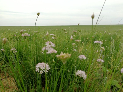 webwxgetmsgimg (4).jpg