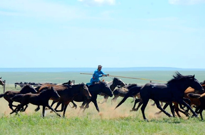 webwxgetmsgimg (2).jpg