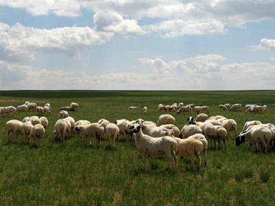 webwxgetmsgimg (6)_副本.jpg