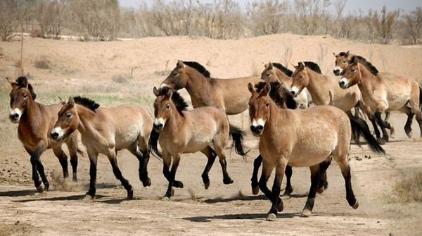 1539182885705333.jpg 1539067805928.jpg