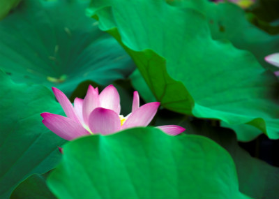 1539847273647456.jpg 1539788219373171_meitu_2.jpg