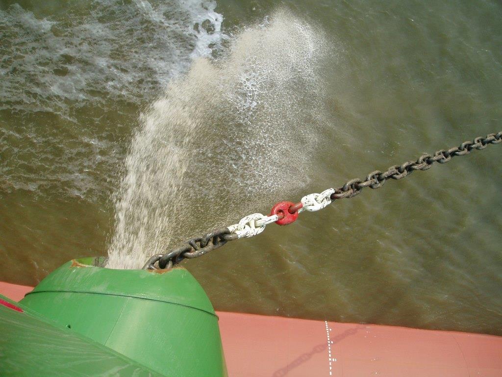 1542728902114408.jpg 1542699708126530.jpg