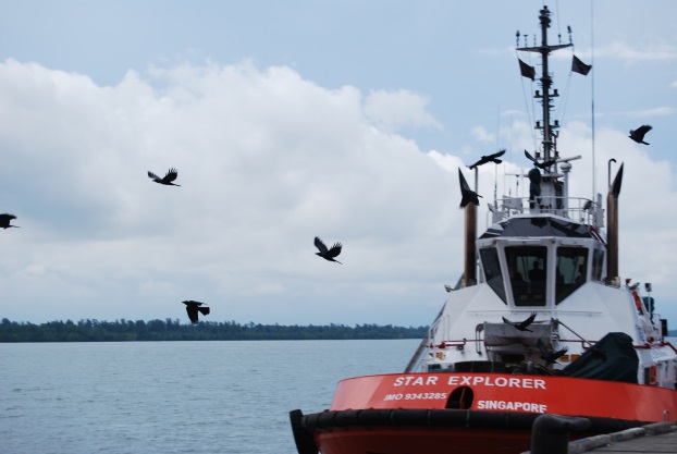 1542819495285300.jpg 二.jpg