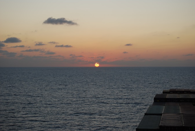 1543770933776680.jpg 1(9.5).jpg