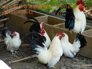 t015b278dab1339fd88.jpg