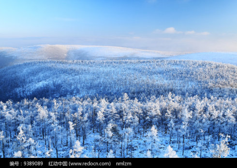 1545057500487722.jpg 微信图片_20181217215851.jpg