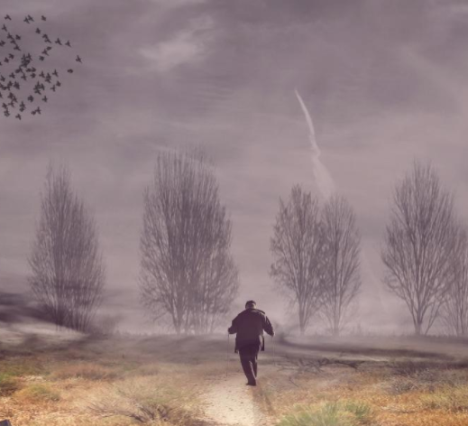 1545700395(1).png