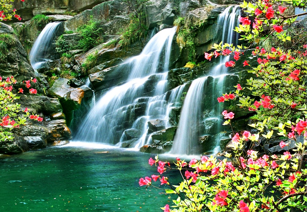 《春如梦》罗匡龙 摄 - 副本 (2).jpg