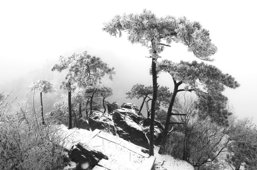 《犁头尖雾凇》罗匡龙 摄.jpg