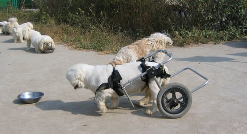 1550160775859904.jpg 微信图片_20190214094120.jpg