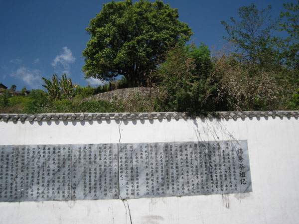 f162f79517954046ba933bea86a2acfc_th (1).jpg