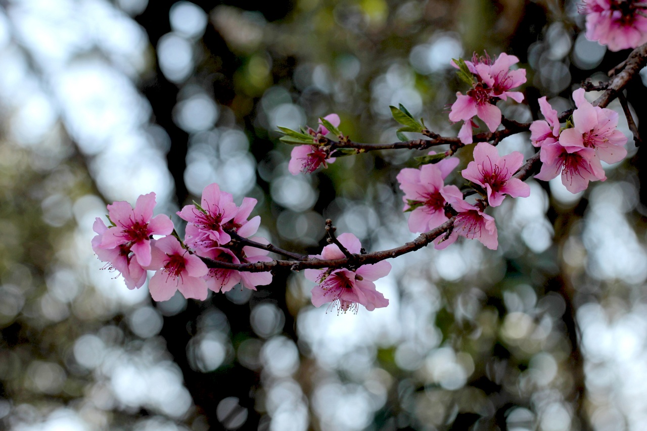 1552009586299199.jpg 1552009586299199.jpg