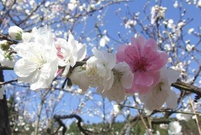 1552009625208532.jpg 1552009625208532.jpg