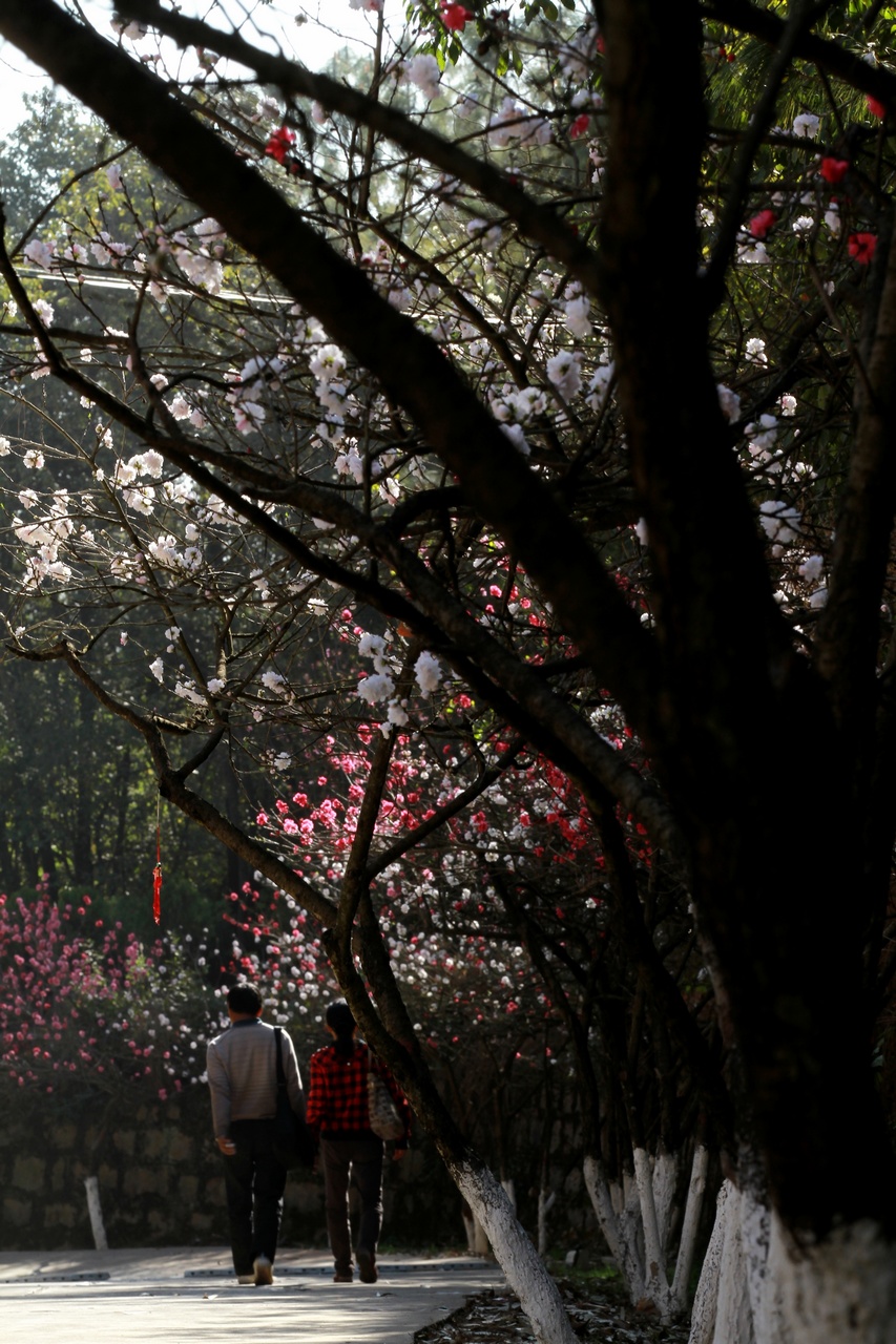 1552009651137013.jpg 1552009651137013.jpg