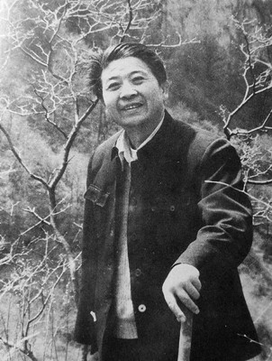 1552213467611696.jpg 丁文斌在太行山区考察。_副本.jpg