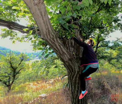 1552778546661097.jpg 1552747156360993.jpg