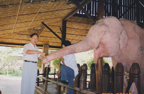 王忠田在老挝喂白象.jpeg