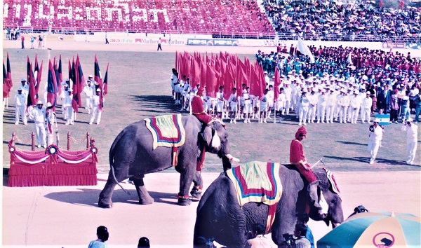 庆祝仪式上的大象.jpeg