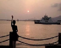 1553484399736402.jpg 1553484399736402.jpg