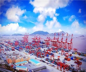 1554338324117132.jpg 33.jpg