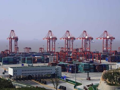 1554604851115996.jpg 2.jpg