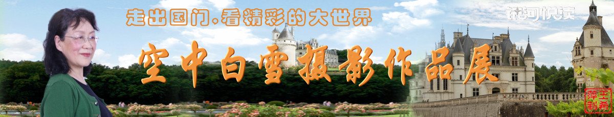 白雪 6 (0-00-00-00).png