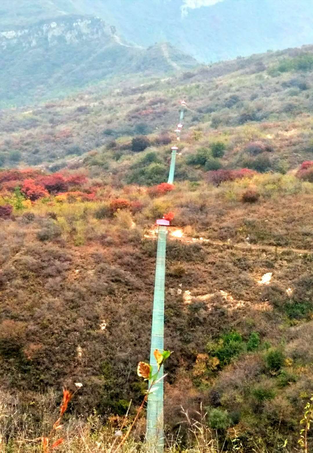 1560938380320027.jpg 1560938380320027.jpg