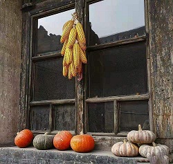 1562896788103276.jpg 1562896788103276.jpg