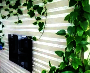 1565588979321447.jpg 1830001004fccc24ee8a.jpg