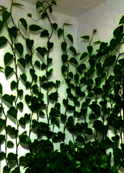 1565589004140210.jpg t0133a82c764b35a0cf.jpg