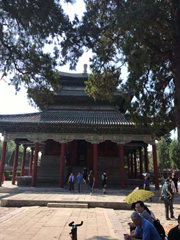 1567575173678008.jpg ce113a0b0be804f5aac77ec6a9329f0.jpg