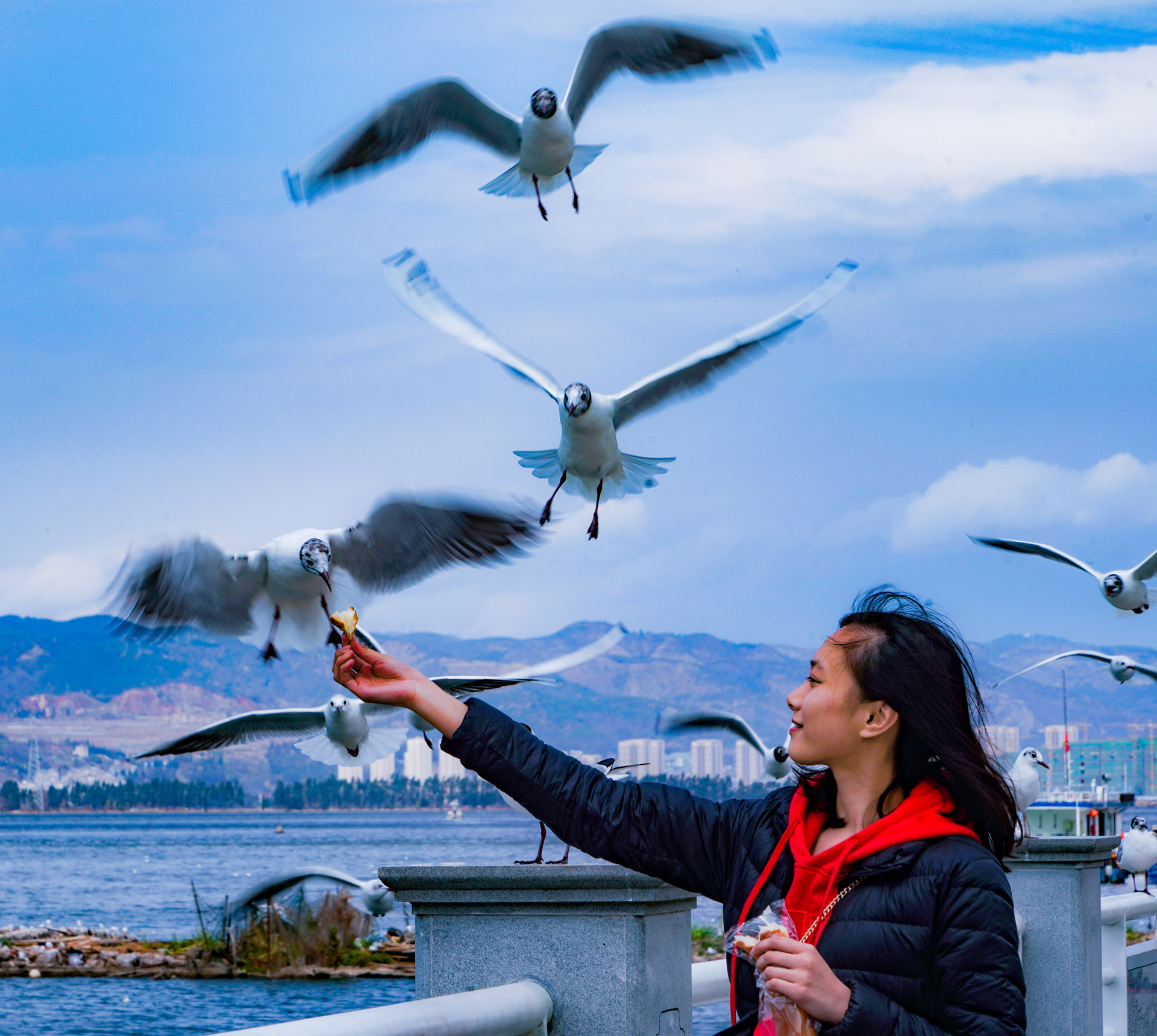 1568683016114301.jpg 1565208509127563.jpg