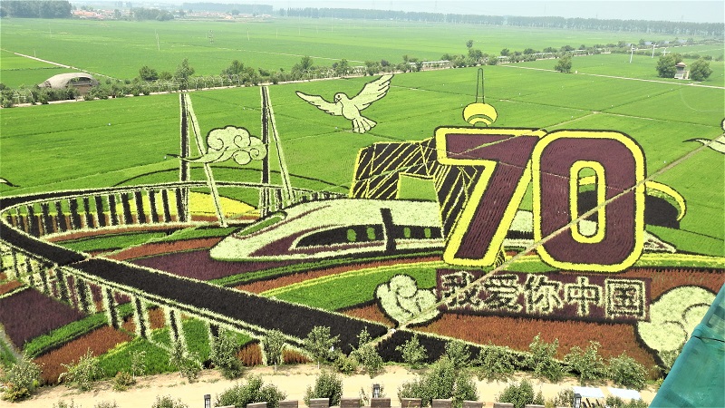 1569455397944762.jpg 1565429501623315.jpg