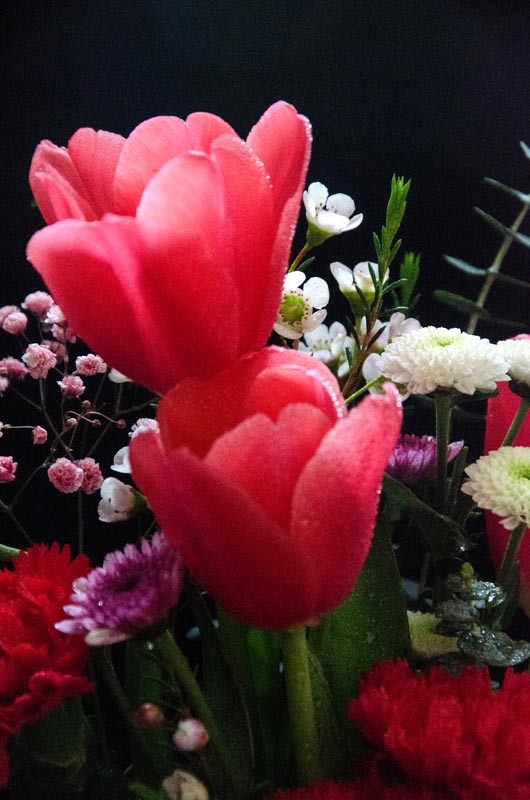 1569459103716909.jpg 1569309494233662.jpg