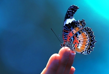 1570151942565781.jpg 27280032_27280032_1381383096452_mthumb.jpg