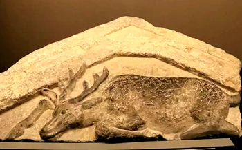 640.webp (3)_副本.jpg