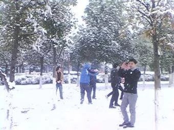1572263320865067.jpg 雪地.jpg