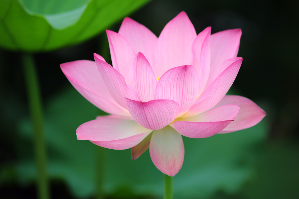 1573613603350020.jpg 微信图片_20191113105306.jpg