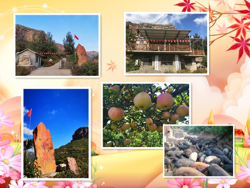 1574673009115591.jpg 微信图片_20191125155937.jpg