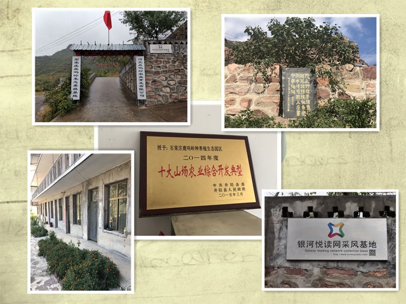 1574673364686184.jpg 微信图片_20191125155947.jpg